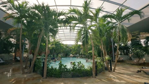 Relaxation in thermal pool surrounded by palm trees and happy families Stock Footage 303693549