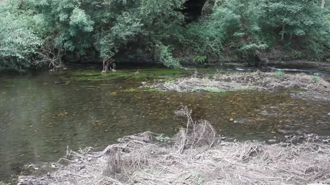 Relaxation while watching water flow Stock Footage 320347935