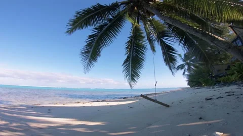 Relaxation of wooden string swing alone tie on the coconut tree Stock Footage 157791488
