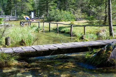 Relaxation zone in the forest Stock Photos