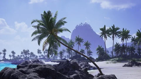 Relaxed beach environment with rolling waves and swaying palms Stock Footage 341566674