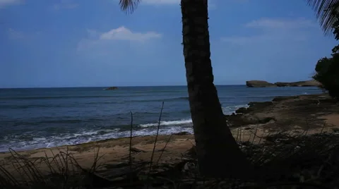 Relaxed Beach Shot 2 Stock Footage 50507881