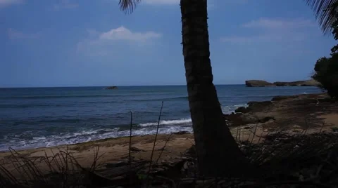 Relaxed Beach Shot Stock Footage 50507437