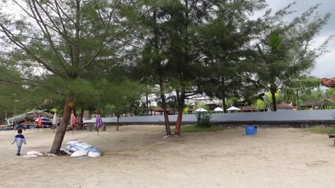 Relaxed beachside atmosphere Stock Footage 317624421