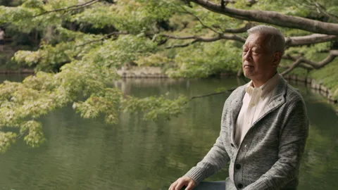Relaxed elderly man sitting and meditating by a peaceful pond in a vibrant, beau Stock Footage 199458172