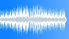 Relaxed Epic Luxury Stock Music