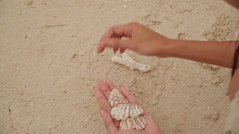 Relaxed lady arranges shells and coral on bright sandy shore. Calm woman Stock Footage 341664656