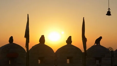 Relaxed monkeys on the wall of monkey temple under sun set Stock Footage 107328606