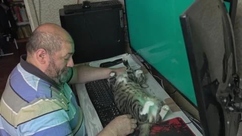 Relaxed Pet Cat Stretched Out in Front of Two Monitors Video stock 336542089