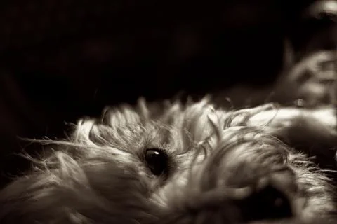 Relaxed Stock Photos