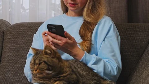 Relaxed woman sitting on couch using  smartphone while her gray striped cat Stock Footage 330454305