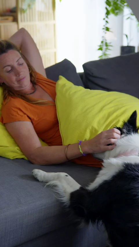 Relaxing Afternoon with a Pet Dog: Vídeo Stock 346309576