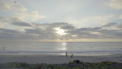 Relaxing and stretching on the beach Stock Footage 167867456