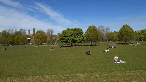 Relaxing and sunbathing in a park. Stock Footage 152597283
