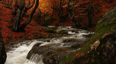 Relaxing Autumn Waterfall Stock Footage 10794347