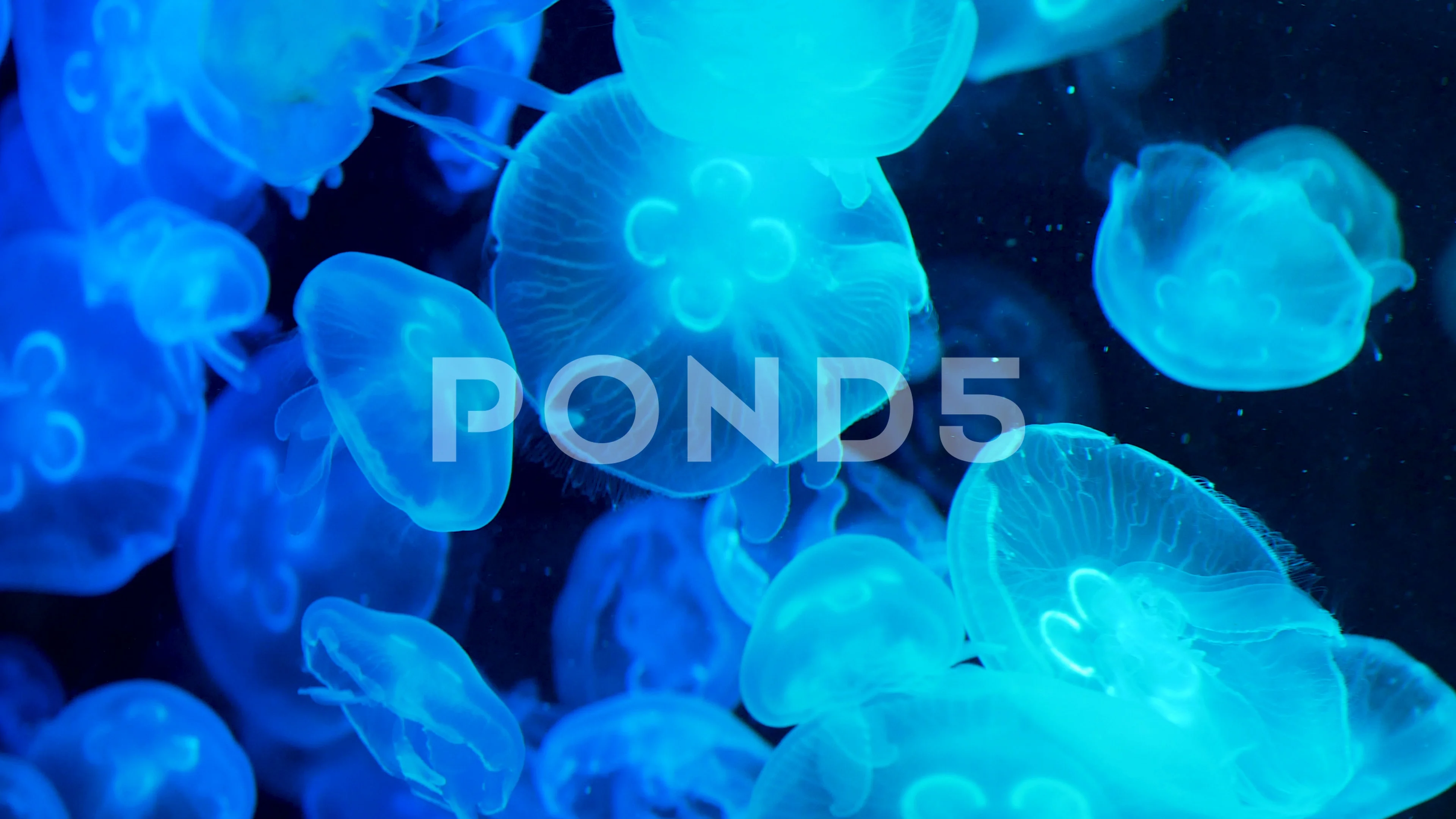 Relaxing background view of glowing jell... | Stock Video | Pond5