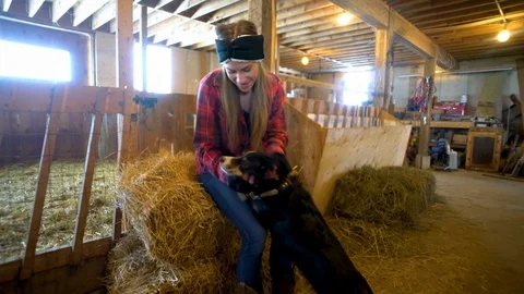 Relaxing in the barn Stock Footage 108662281
