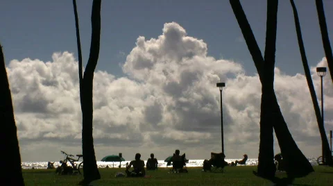 Relaxing on the beach in Hawaii Stock Footage 624544