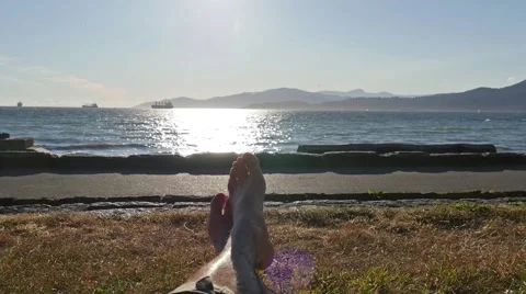 Relaxing at beach in Stanley park Stock-Footage 54801644