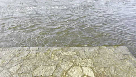 Relaxing by the beautiful water.  Stock Footage 202242548