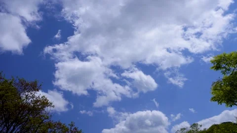 Relaxing Blue Sky Timelapse with Soft Moving Clouds Stock Footage 336742769