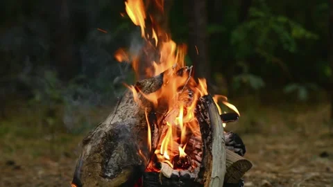 Relaxing Campfire Background and Glowing Timber Stockbeeldmateriaal 344746577