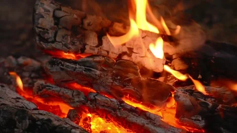 Relaxing Campfire Burning in Forest Wilderness Nature Loop Stock Footage 343821629