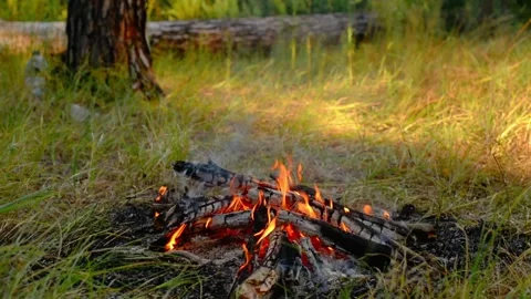 Relaxing Campfire Burning on Grass Ground Loop Stock Footage 343343371
