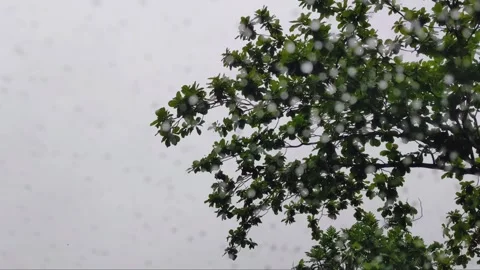 A relaxing cinematic video capturing raindrops Stock Footage 320599365