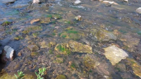 Relaxing close-up of a clear stream flowing over rocks. Stock Footage 312476746