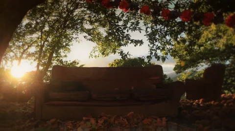 Relaxing couch on nature Stock Footage 1007587