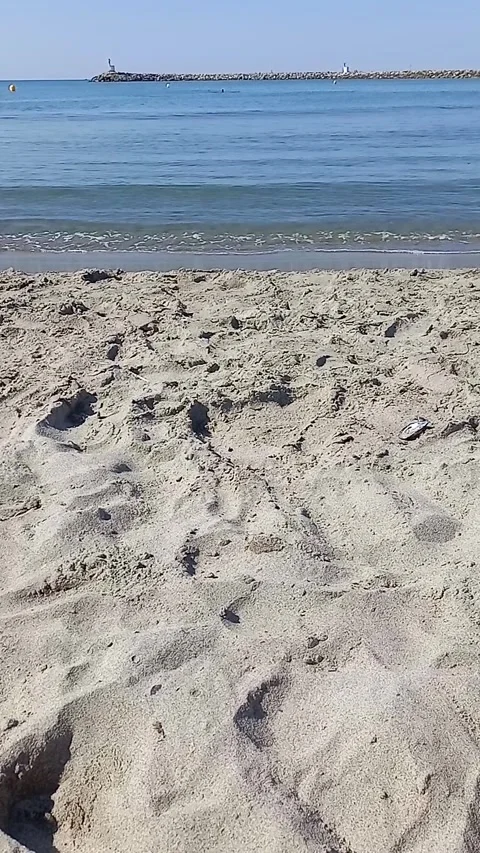 A relaxing day on a beach Video stock 255442265