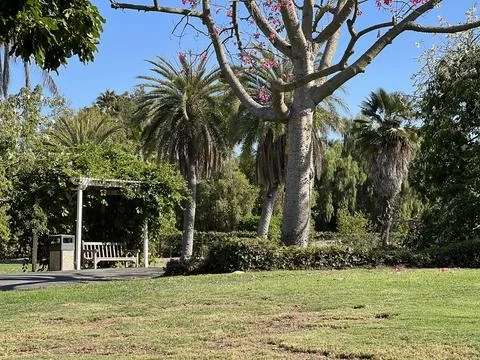 Relaxing Day in a Tranquil Park Surrounded by Lush Nature and Palm Trees Stock Photos
