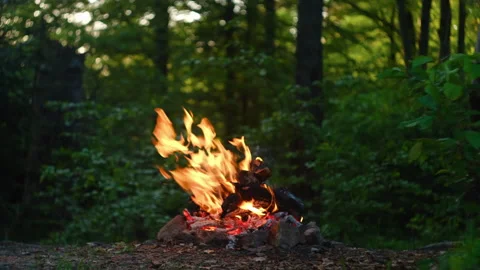 Relaxing evening campfire in forest at summertime Stock Footage 329568235