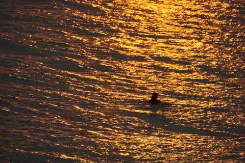 Relaxing in the evening Stock Photos