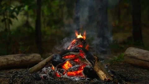 Relaxing Fire Soundscape and Campfire Looping Video Stock Footage 344746656