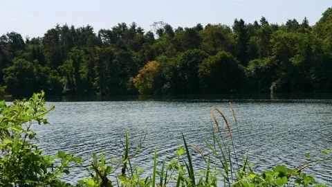 Relaxing Flowing River Scenery Stock Footage 161890748