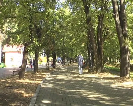 Relaxing Stock Footage 1078912