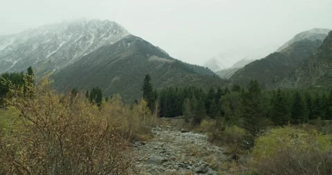 Relaxing Stock Footage 154797926