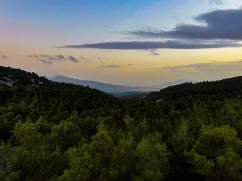 Relaxing forest on the mountains 写真素材