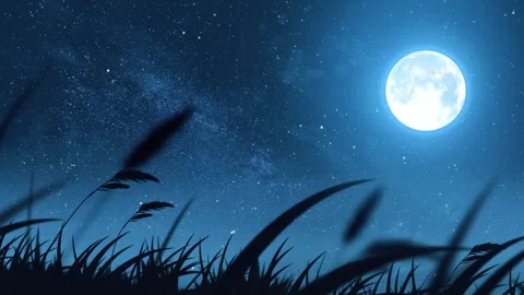 Relaxing full moon night starry sky and swaying grass loop in anime style 스톡 동영상 337008859