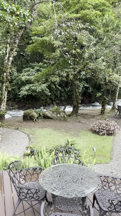 Relaxing garden by river with empty patio and lush trees on a tranquil day Stock Footage 316793916