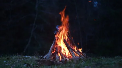 Relaxing glowing campfire in middle of spring forest under Stock Footage 325963528