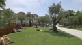 Relaxing on the grass in Plaza Lisboa, Porto 4k or 4k+ Resolution