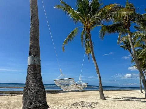 Relaxing Hammock Between Palm Trees on a Pristine Beach Stock Photos