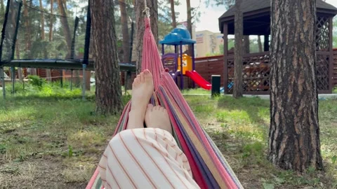 Relaxing hammock between pine trees in forest recreation area in 4K Stock Footage 340607119