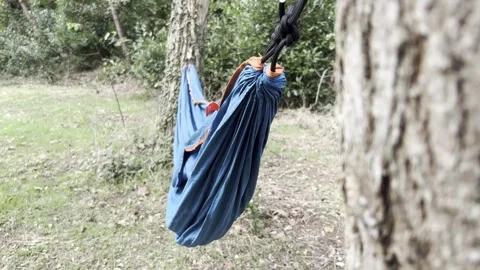 Relaxing hammock hanging between trees in a lush green forest setting Stock Footage 307851220