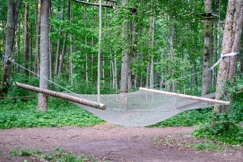 Relaxing hammock strung between two trees in a shady forest retreat. Perfect for Stock Photos