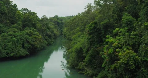 Relaxing Jungle River Stream with Clear Water and Smooth Motion Aerial Stock-Footage 332489448