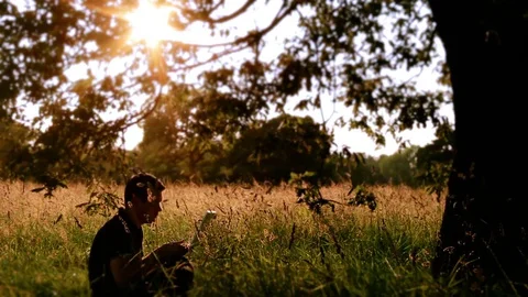 Relaxing With A Laptop Computer Under An Old Oak Tree Stock Footage 72553281